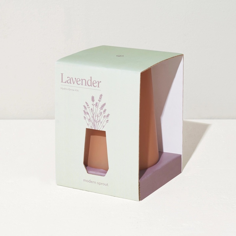 Tapered Tumbler with Plant Grow Kit