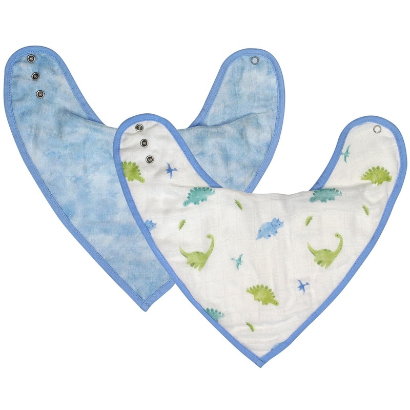 Dinosaur Bib Set