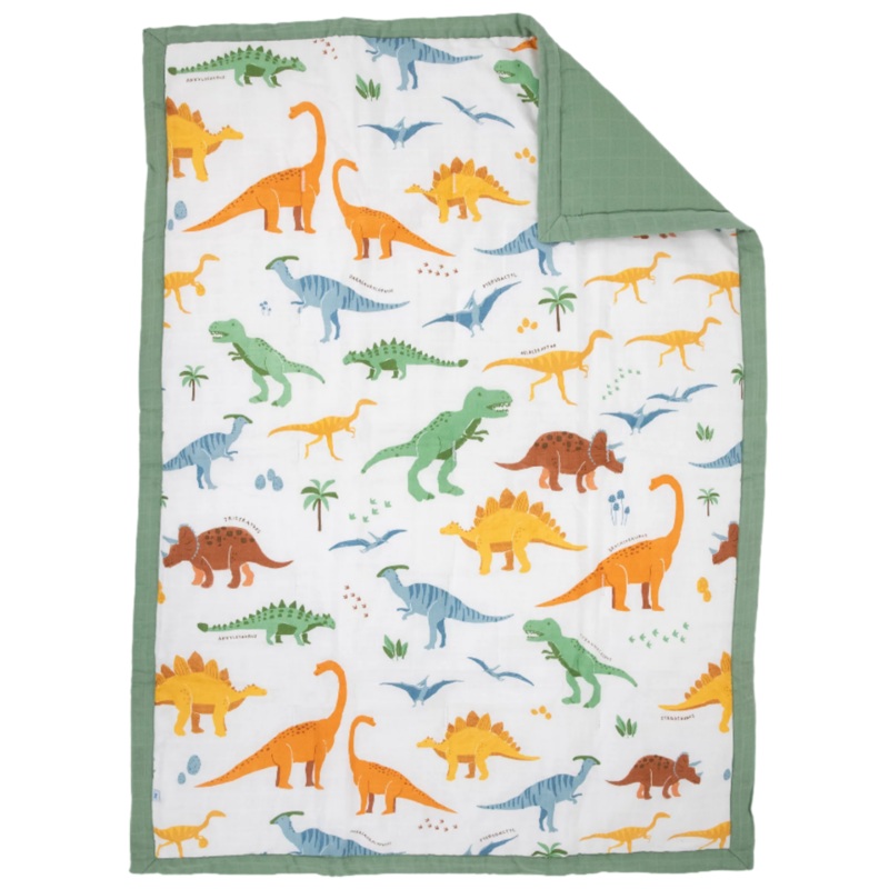 Cotton Muslin Toddler Comforter – Dino Names