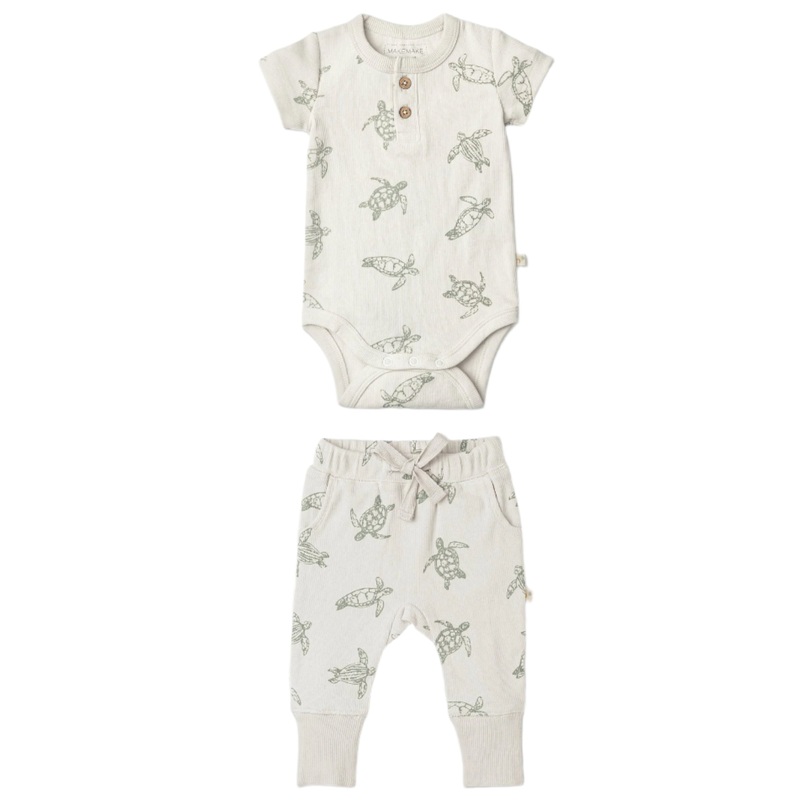 Organic Short Sleeve Romper & Pants Set – Turtles
