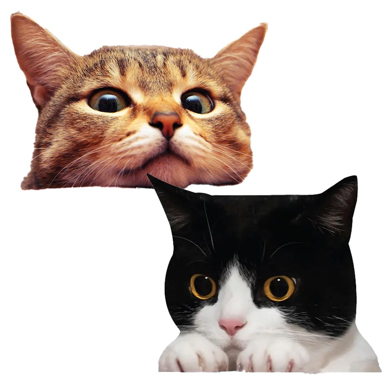Cat Car Window Decal