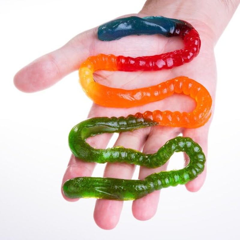 The Gummy Fireworm – 2 feet long!
