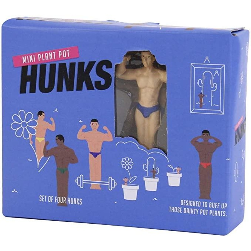 Mini Plant Pot Hunks