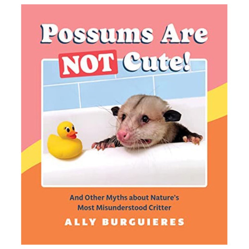 Possums Are Not Cute HC Book