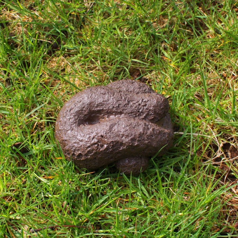 Busters Hide-A-Key Dog Poop