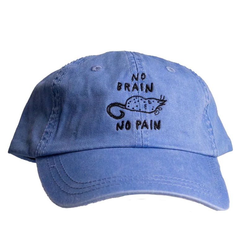 No Brain No Pain Dad Hat – Periwinkle