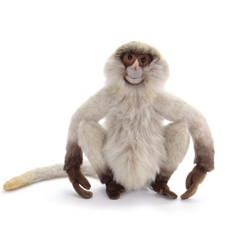 Hansa Spider Monkey (12)