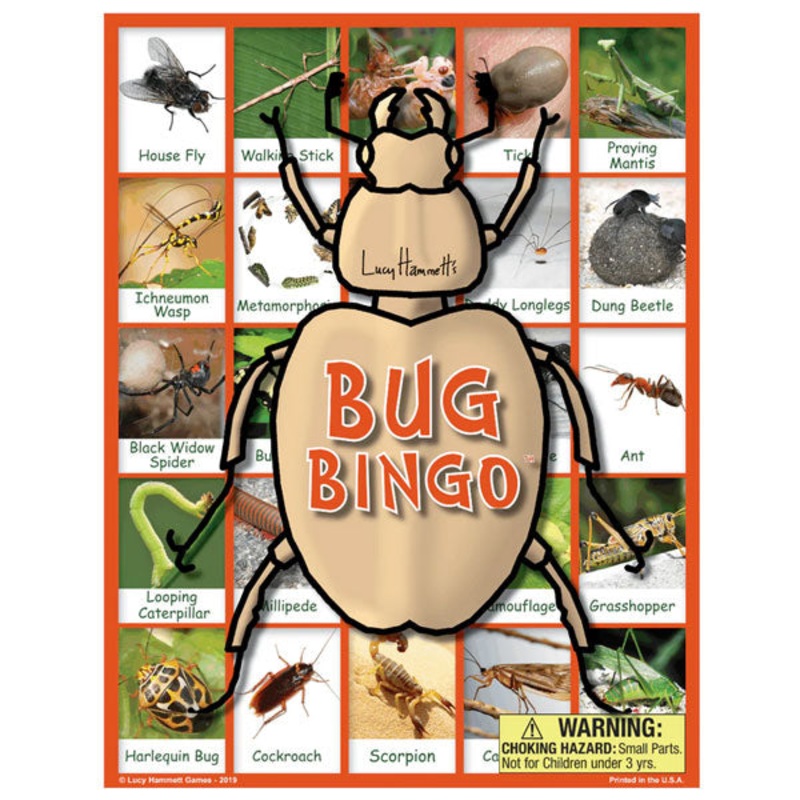 Lucy Hammett’s Bug Bingo