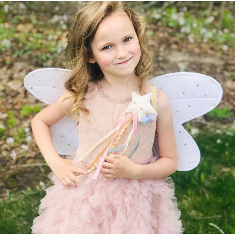 Fairy Wings and Star Magic Wand Dress up Set