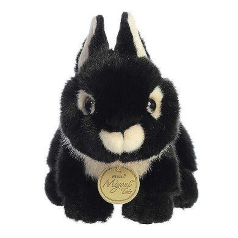 Netherland Dwarf Bunny