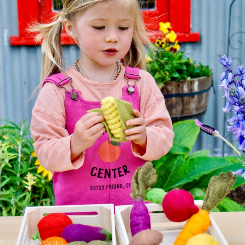 Felt Fruits and Vegetables, Set A, 14 pcs