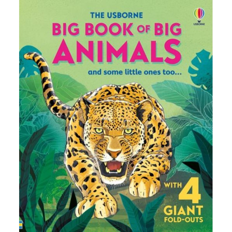 BIG BOOK OF BIG ANIMALS AND SOME LITTLE ONES TOO…