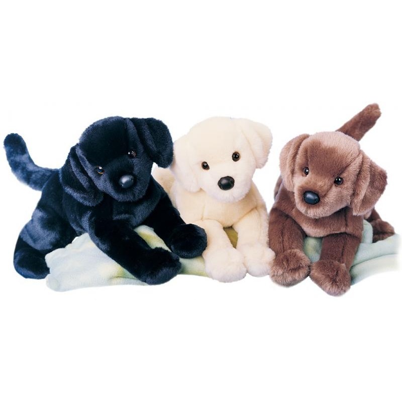 CHESTER BLACK LAB