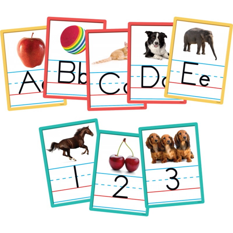 ACCENTS: ALPHABET & NUMBERS