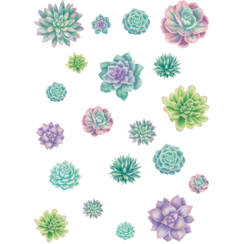 ACCENTS: RUSTIC BLOOM SUCCULENTS