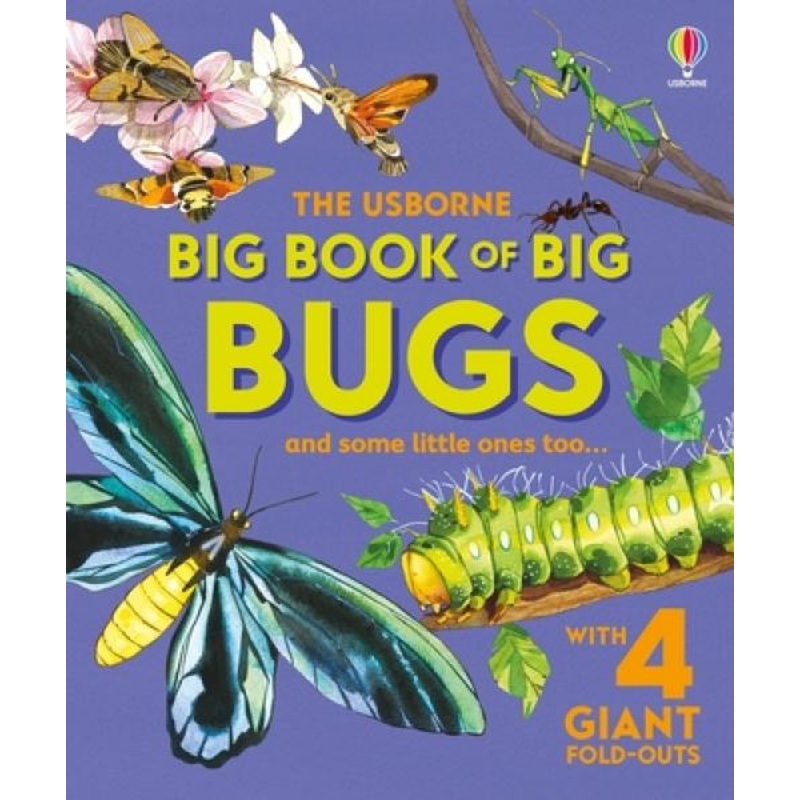 BIG BOOK OF BIG BUGS AND SOME LITTLE ONES TOO…