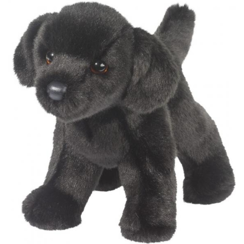 BEAR BLACK LAB