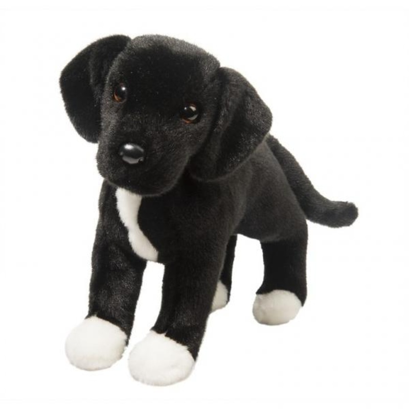 TWISTER BLACK LAB/PIT MIX