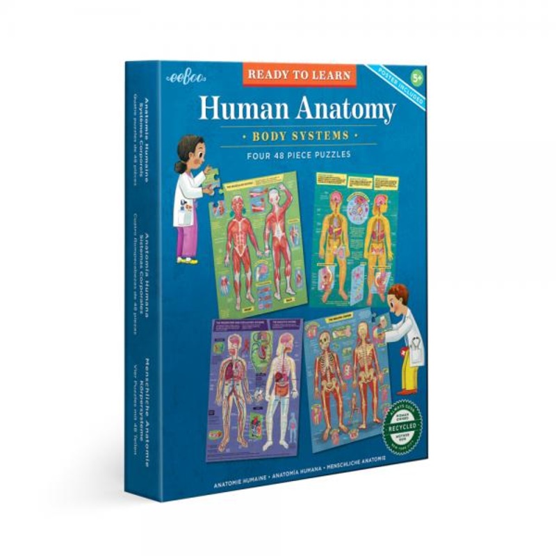 HUMAN ANATOMY BODY SYSTEMS – FOUR 48 PIECE PUZZLES