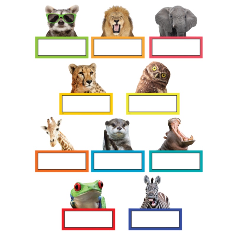 ACCENTS: GO WILD ANIMALS