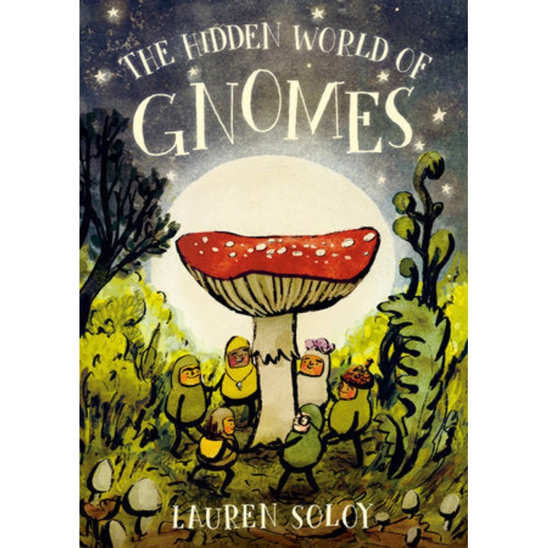 The Hidden World of Gnomes Book