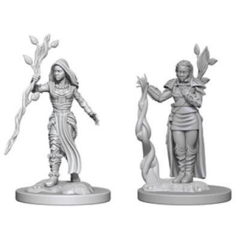 Dungeons & Dragons: Nolzur’s Marvelous Unpainted Miniatures – Human Female Druid