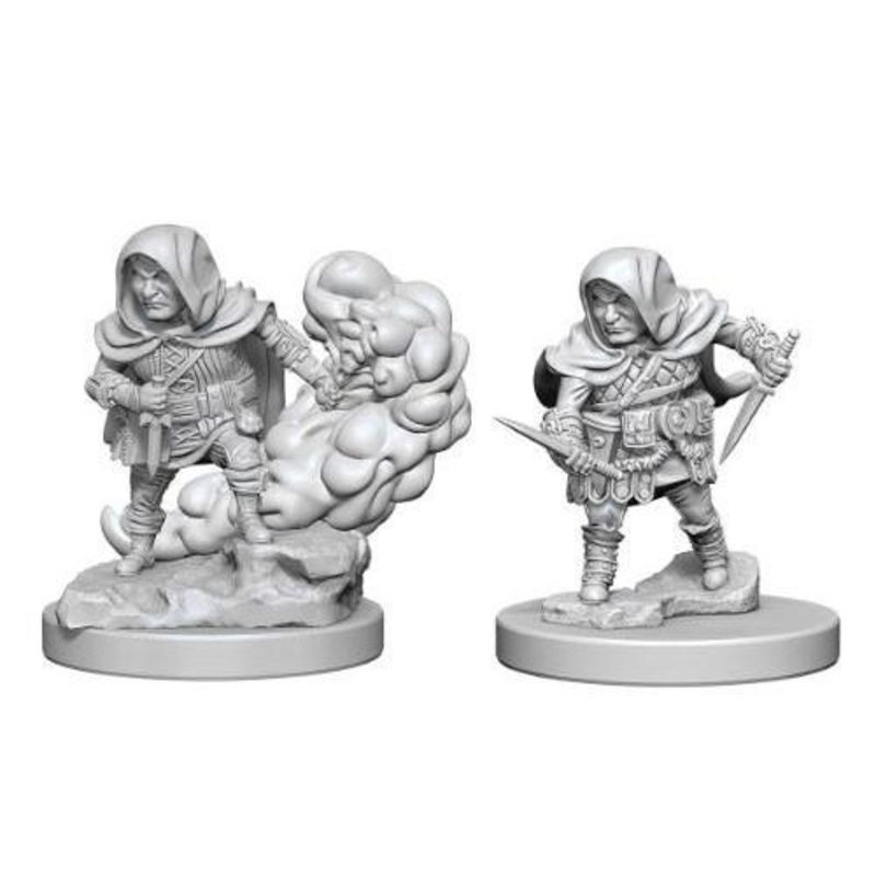 Dungeons & Dragons: Nolzur’s Marvelous Unpainted Miniatures – Halfling Male Rogues