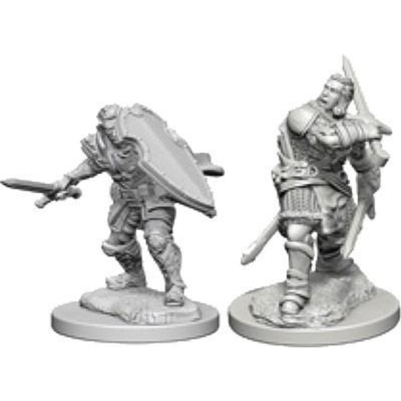 Dungeons & Dragons: Nolzur’s Marvelous Unpainted Miniatures – Human Male Paladins