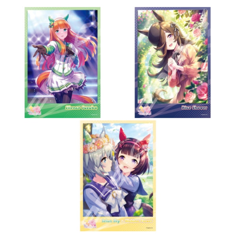 Uma Musume Pretty Derby  Jigsaw Puzzle 300 Pieces (1995 [Silence Suzuka] / 1996 [Rice Shower] / 1997 [Seiun Sky & Nishino Flower])