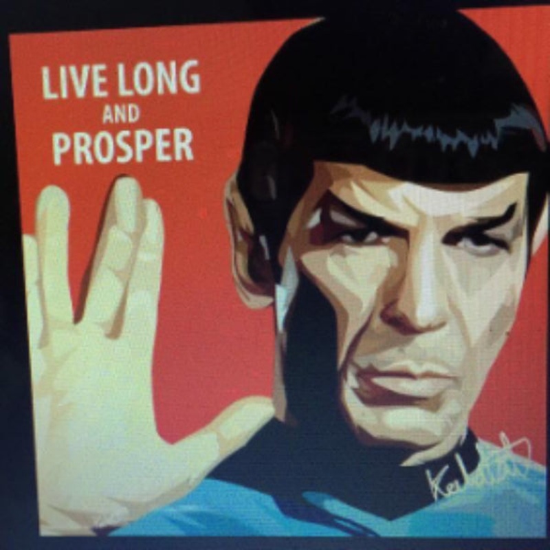 Pop Art Wall Decoration Drawing (SPOCK LLAP)  Star Trek