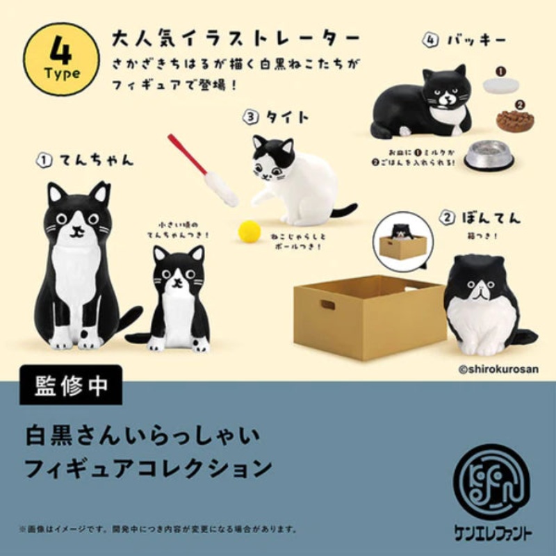 Welcome to Black and White Figure Collection (box of 12)