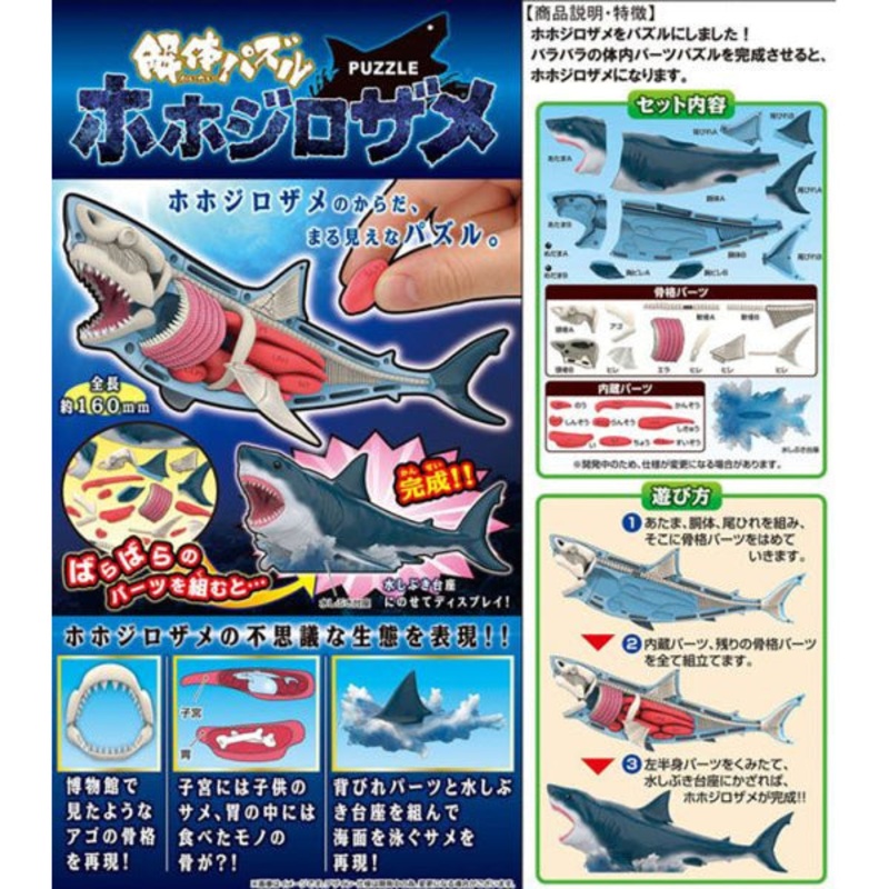 [Kaitai puzzle] Shark puzzle