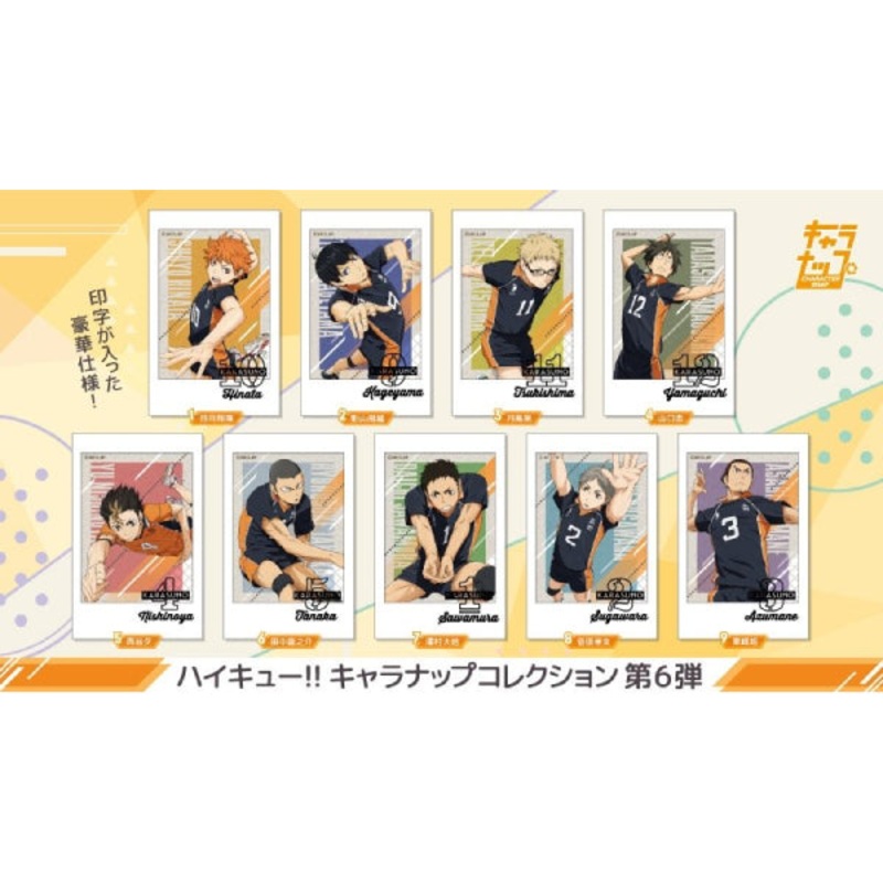 Haikyu!! Charanap Collection Vol.6 (Set of 9)